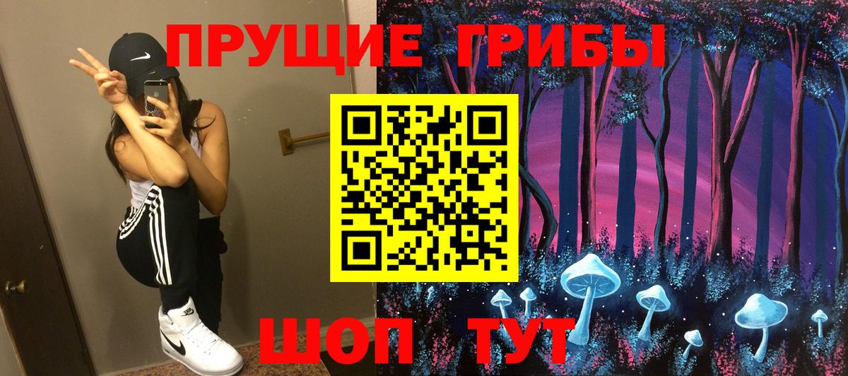 как найти наркотики  Псилоцибиновые грибы Cubensis  Вход с VPN  Светлоград 